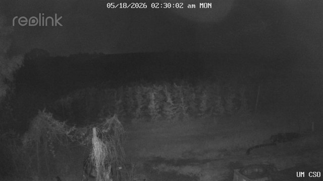 time-lapse frame, UM CSO webcam