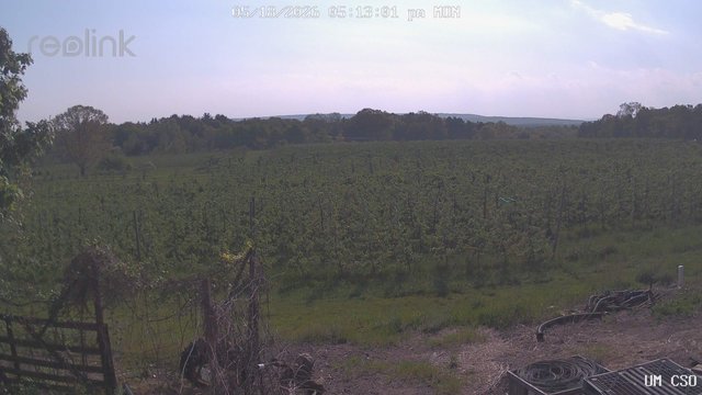 time-lapse frame, UM CSO webcam