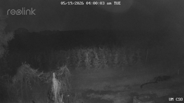 time-lapse frame, UM CSO webcam