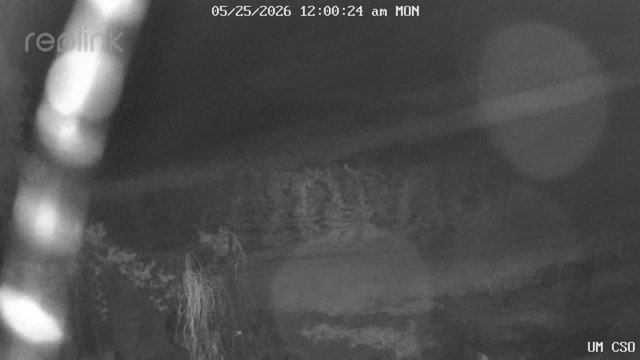 time-lapse frame, UM CSO webcam