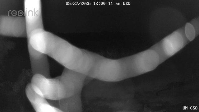 time-lapse frame, UM CSO webcam