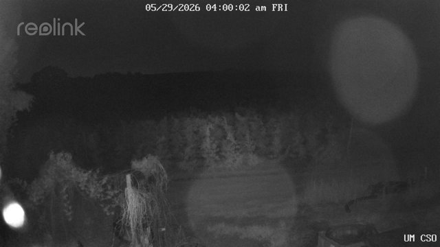 time-lapse frame, UM CSO webcam