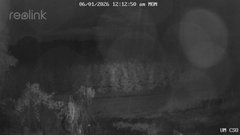 view from UM CSO on 2026-06-01