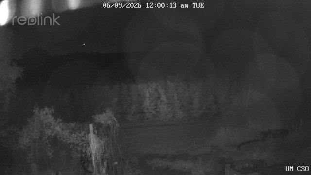 time-lapse frame, UM CSO webcam