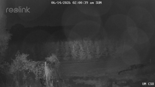time-lapse frame, UM CSO webcam