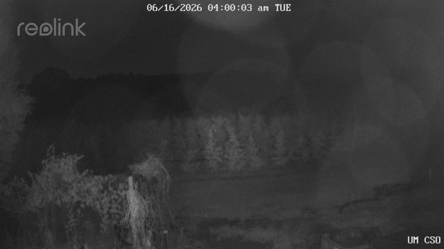 time-lapse frame, UM CSO webcam