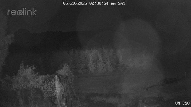 time-lapse frame, UM CSO webcam