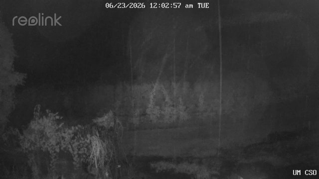 time-lapse frame, UM CSO webcam