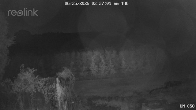 time-lapse frame, UM CSO webcam