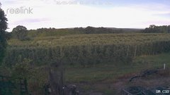 view from UM CSO on 2026-06-25