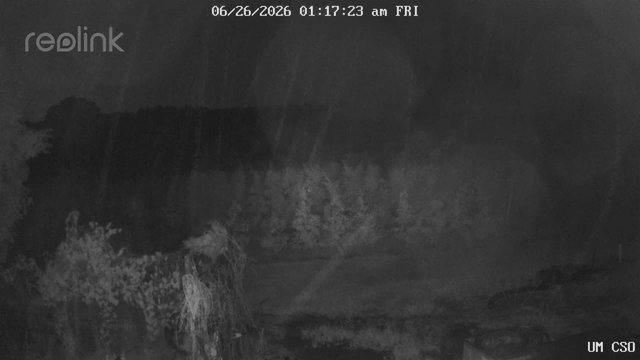 time-lapse frame, UM CSO webcam