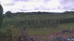 view from UM CSO on 2026-06-26