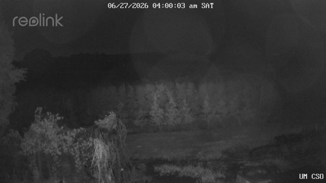 time-lapse frame, UM CSO webcam