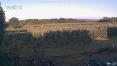 view from UM CSO on 2026-07-02
