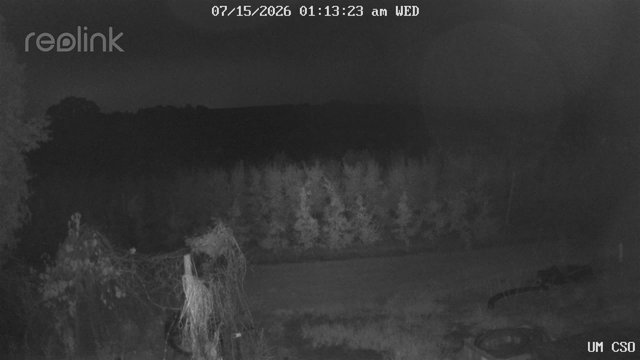 time-lapse frame, UM CSO webcam