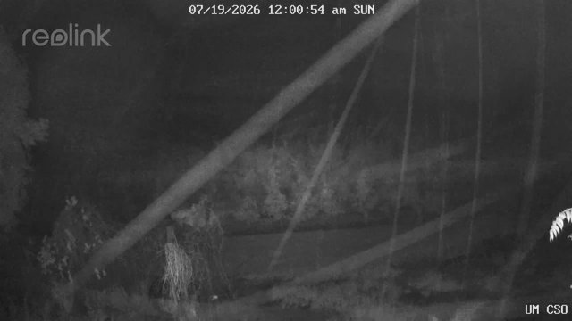 time-lapse frame, UM CSO webcam