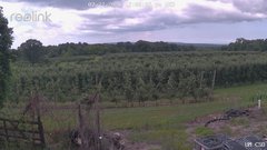 view from UM CSO on 2026-07-22