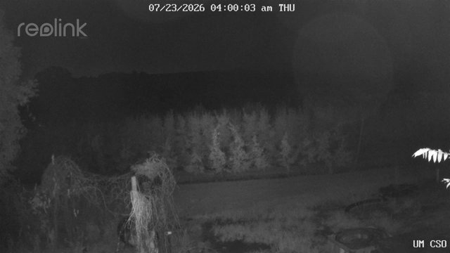 time-lapse frame, UM CSO webcam
