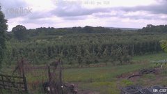 view from UM CSO on 2026-07-28