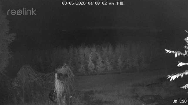 time-lapse frame, UM CSO webcam