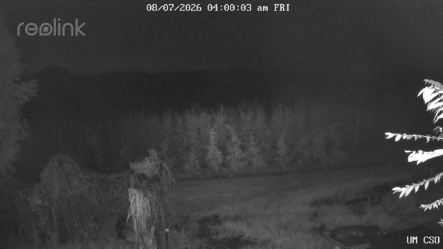 time-lapse frame, UM CSO webcam
