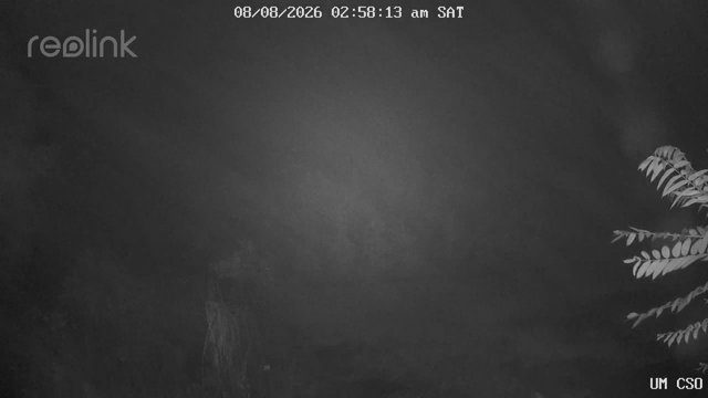 time-lapse frame, UM CSO webcam