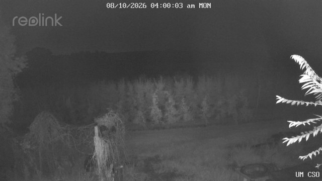 time-lapse frame, UM CSO webcam