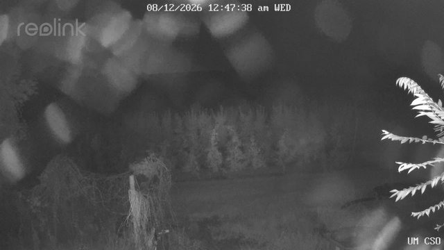 time-lapse frame, UM CSO webcam