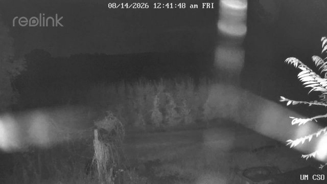 time-lapse frame, UM CSO webcam