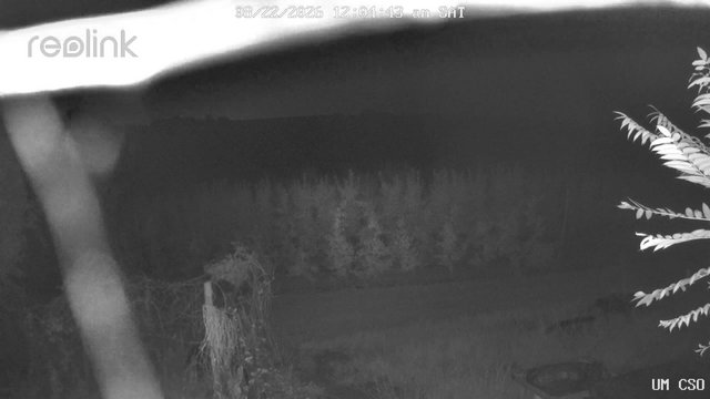 time-lapse frame, UM CSO webcam