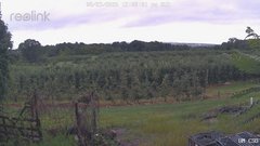view from UM CSO on 2026-08-23