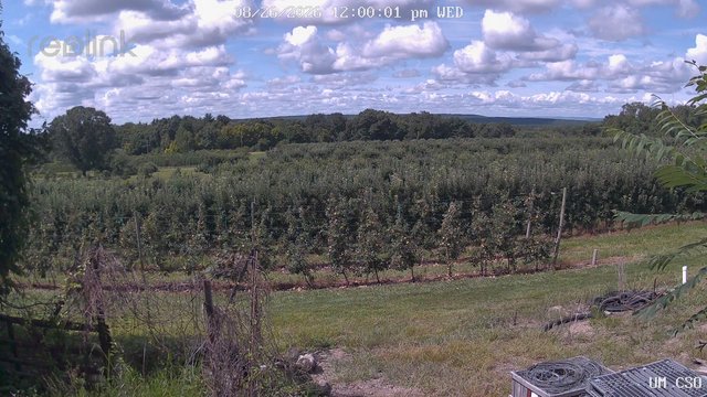 view from UM CSO on 2026-08-26