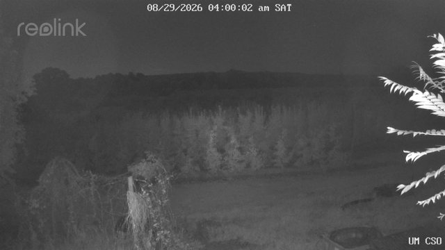 time-lapse frame, UM CSO webcam