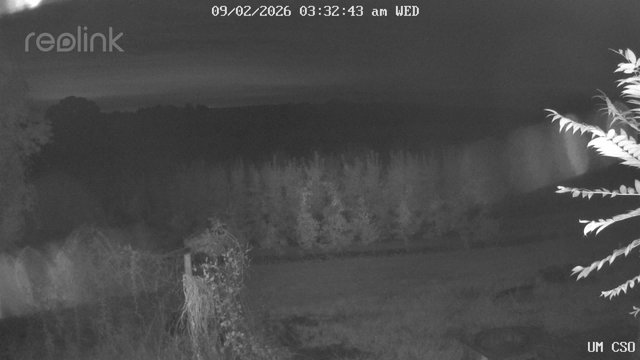 time-lapse frame, UM CSO webcam