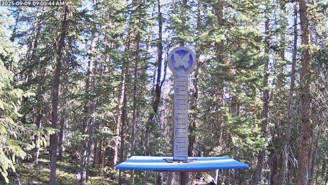 time-lapse frame, Powder Cam webcam