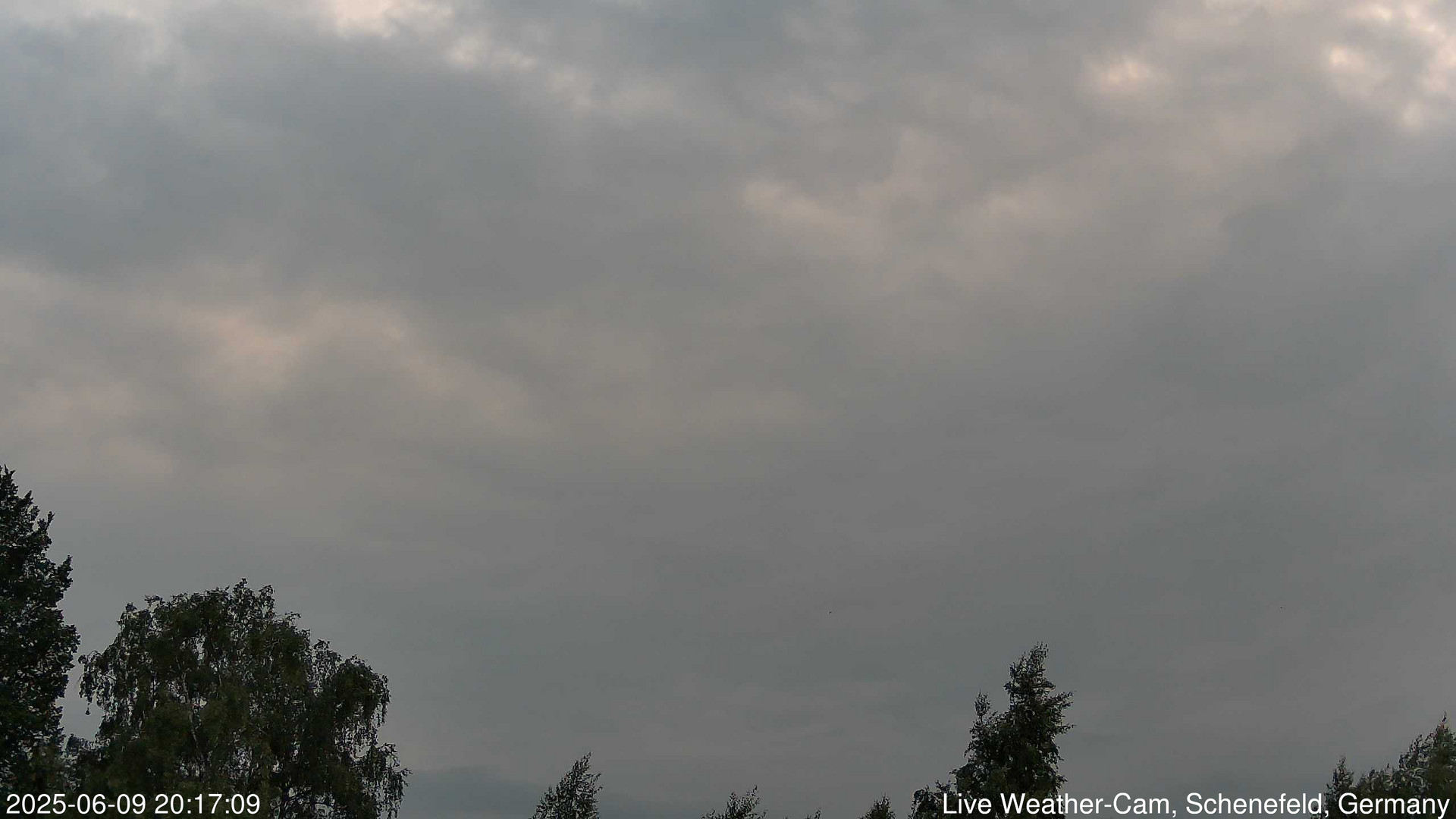 time-lapse frame, 2025-06-09 20:17-22:47 webcam