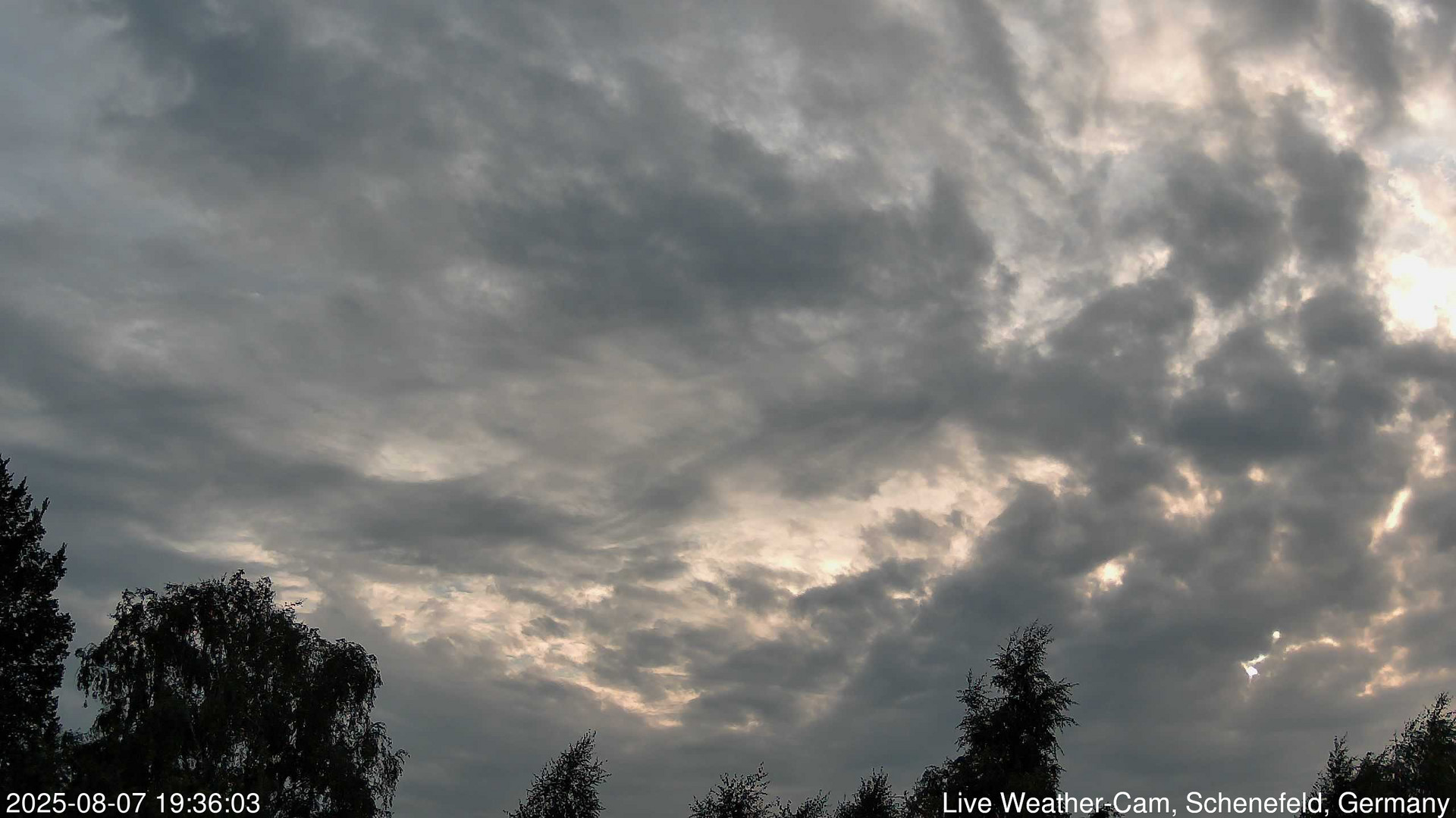 time-lapse frame, 2025-08-07 19:36-22:06 webcam