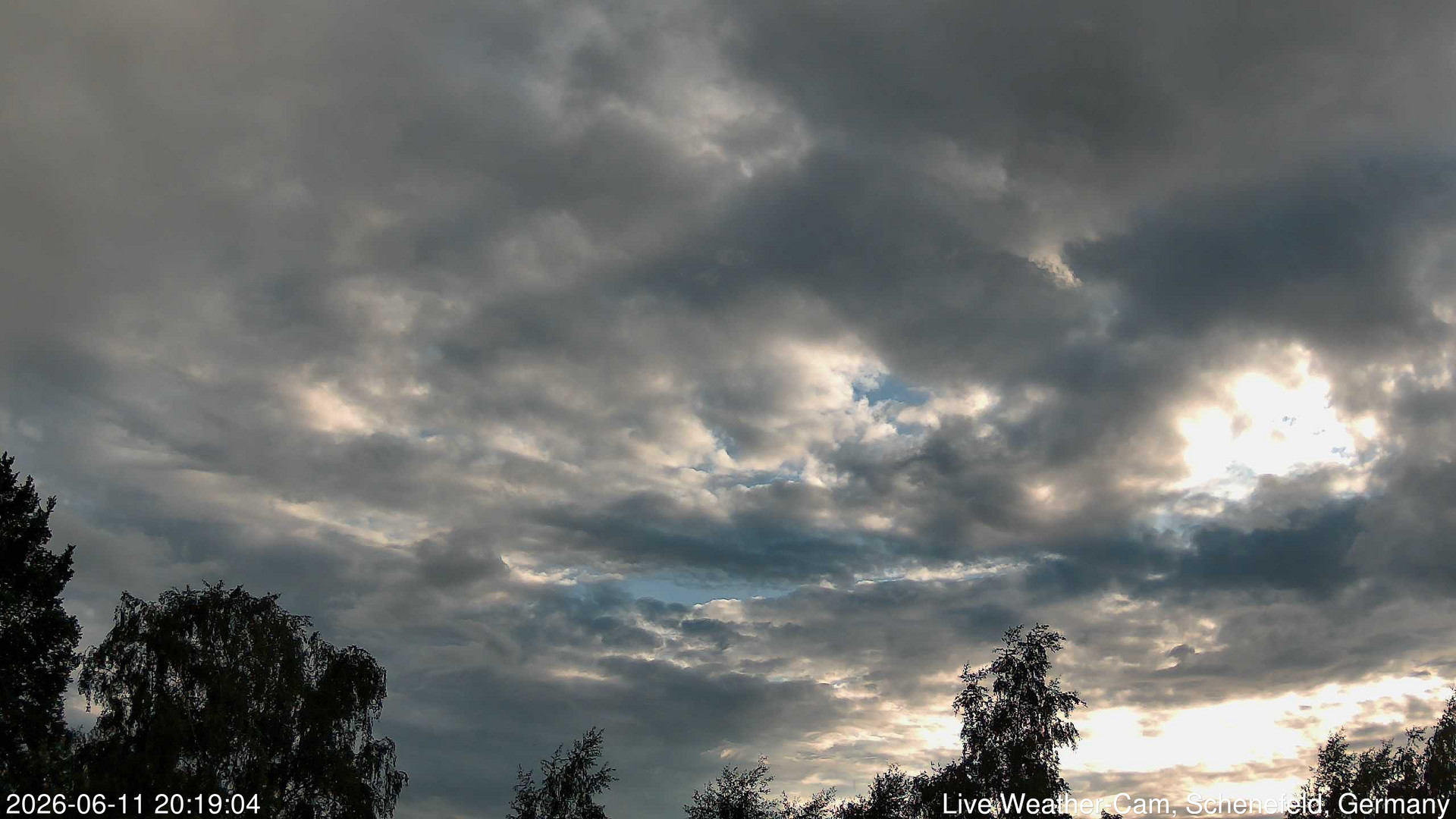 time-lapse frame, 2026-06-11 20:19-22:49 webcam