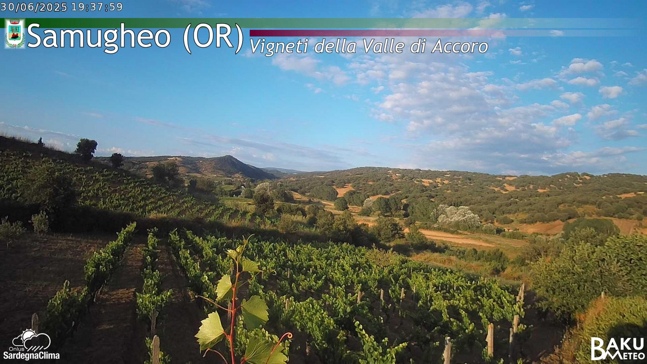 time-lapse frame, Samugheo webcam