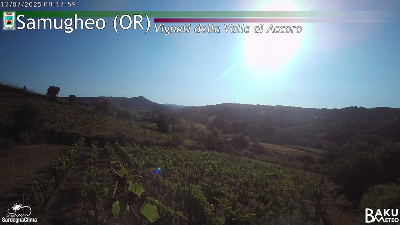 time-lapse frame, Samugheo webcam