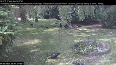 view from Wembury, Devon. Garden Zoom Cam on 2025-06-04