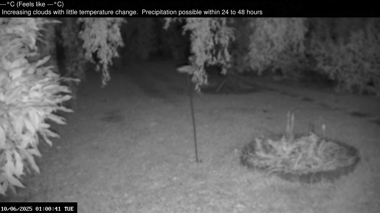 time-lapse frame, Wembury, Devon. Garden Zoom Cam webcam