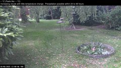 view from Wembury, Devon. Garden Zoom Cam on 2025-06-10