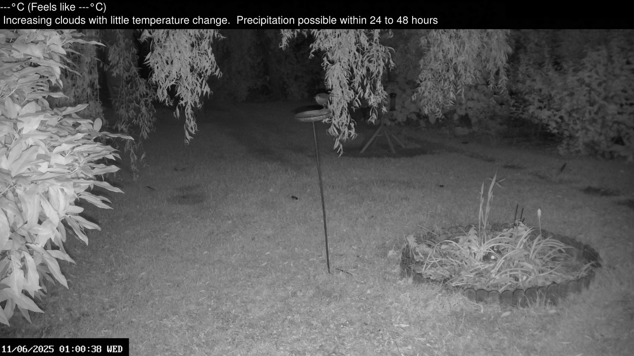 time-lapse frame, Wembury, Devon. Garden Zoom Cam webcam