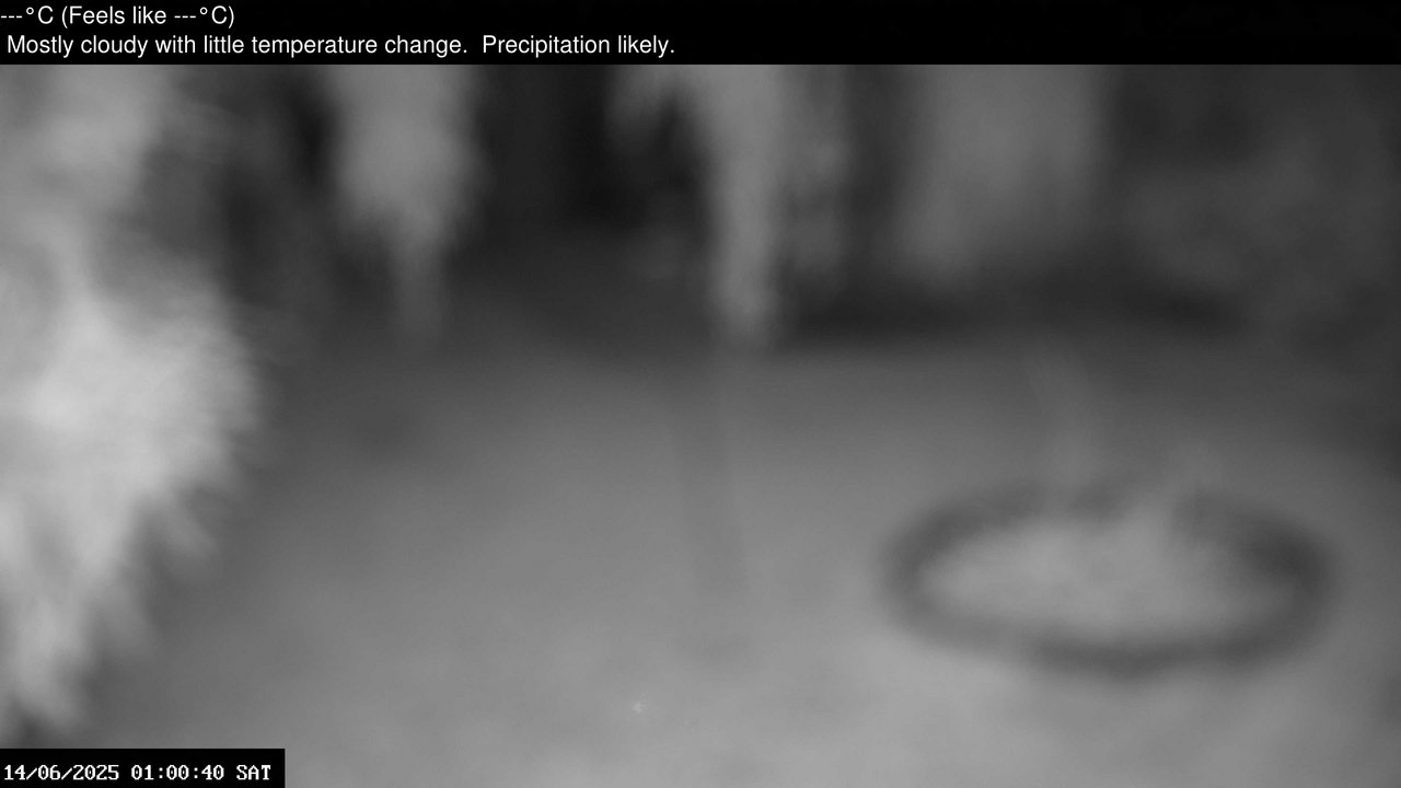 time-lapse frame, Wembury, Devon. Garden Zoom Cam webcam