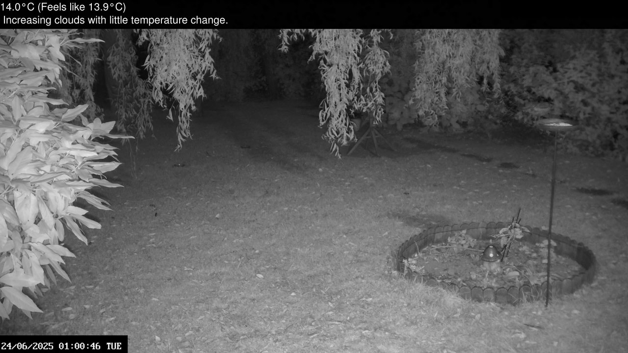 time-lapse frame, Wembury, Devon. Garden Zoom Cam webcam