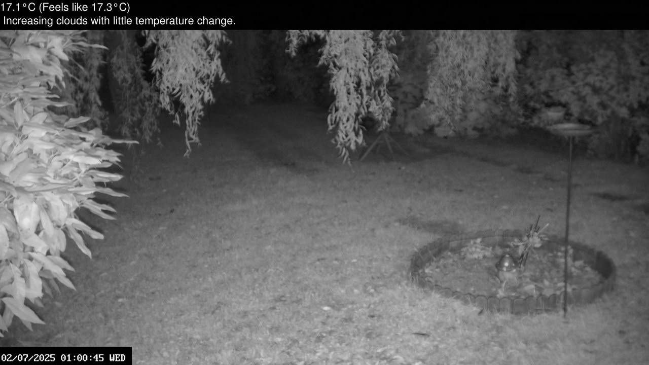 time-lapse frame, Wembury, Devon. Garden Zoom Cam webcam