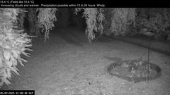 view from Wembury, Devon. Garden Zoom Cam on 2025-07-05