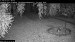 view from Wembury, Devon. Garden Zoom Cam on 2025-07-05