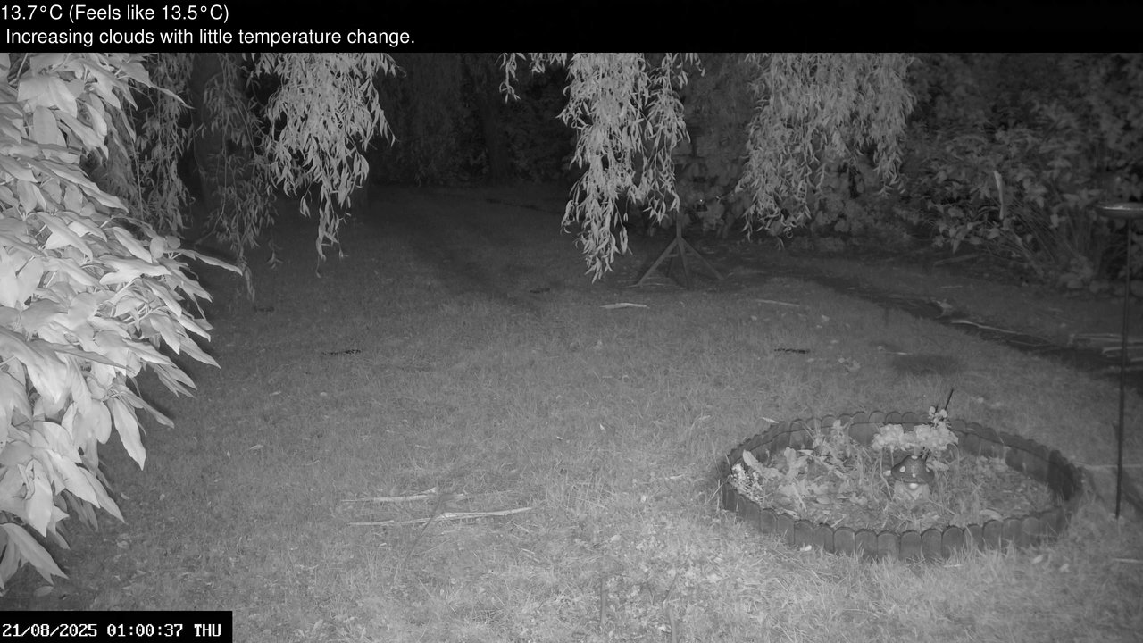 time-lapse frame, Wembury, Devon. Garden Zoom Cam webcam